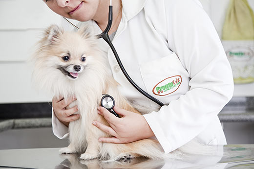 Clínica ProntoVet Bauru - Veterinária Pet Shop em Bauru