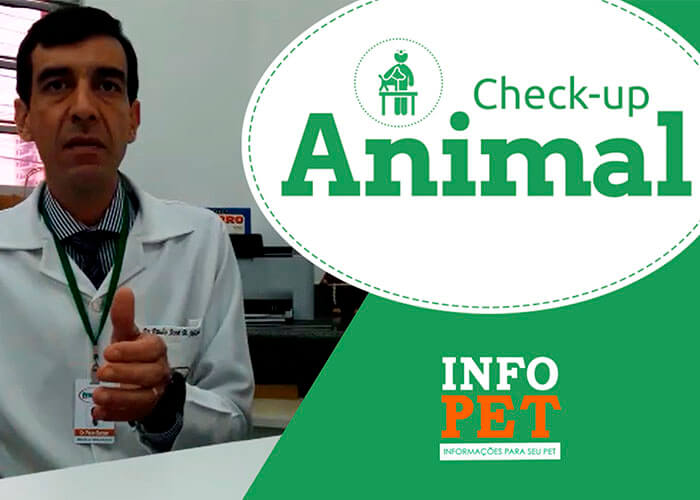 Video explicativo sobre a importância de realizer um check up em seu animal de estimação.